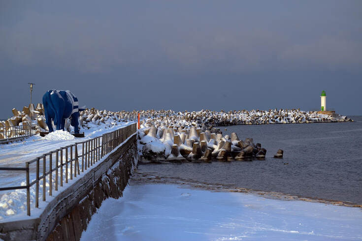 Winter scene at Ventspils with a large blue sculpture of a cow on the snow-covered promenade, overlooking a frozen coastline with tetrapod breakwaters. In the distance, a green lighthouse stands out against the cloudy sky, marking the entrance to the harbour.